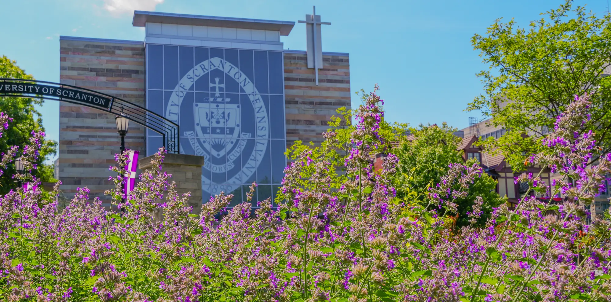 Vibrant purple flowers in the foreground frame a sunny view of The University of Scranton campus